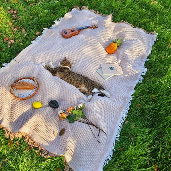 Woven Picnic Blanket